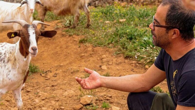 Seulo: Farm Tour with Local Product Tasting - Experience Overview