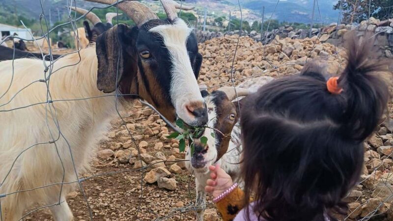 Seulo: Farm Tour with Local Product Tasting - Authenticity and Atmosphere