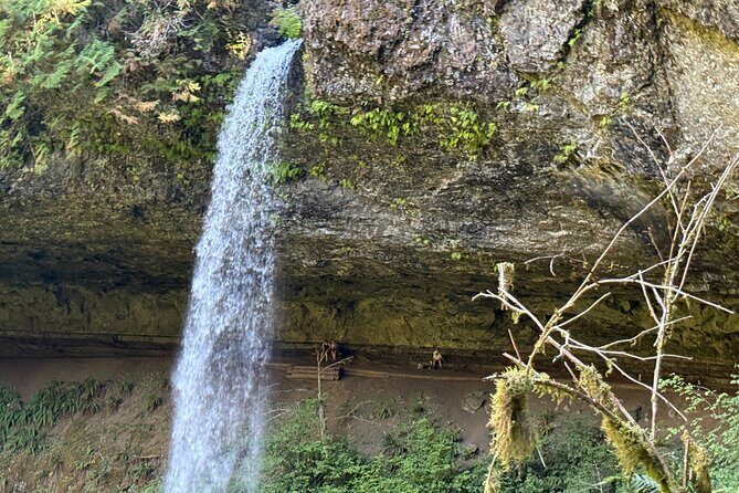 Seven Falls Hiking Tour at Silver Falls State Park - Exploring Silver Falls State Park: What to Expect