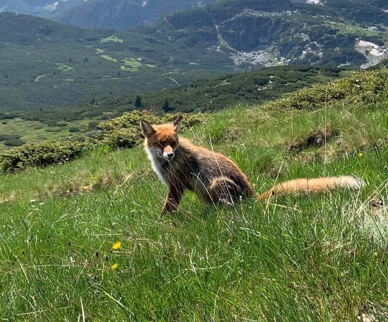 Seven Rila Lakes - Full Day Hiking Trip in the Rila Mountain - FAQ