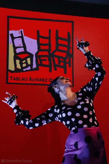 Sevilla: Flamenco Show at Tablao Álvarez Quintero - Who This Tour Is Best For