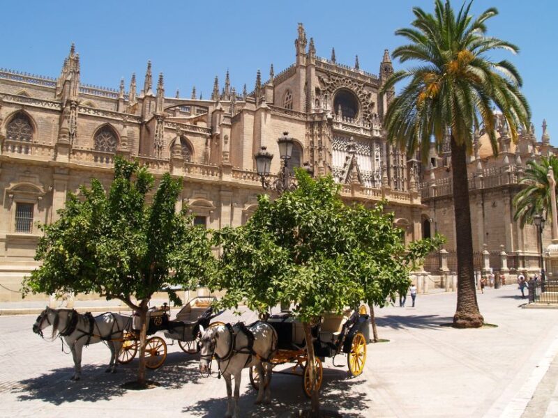 Seville: Alcázar Guided Palace Tour with Priority Access - Practical Aspects and Value for Money
