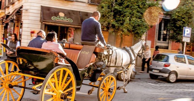 Seville: Authentic and Romantic Horse-Drawn Carriage Ride - A Relaxed Introduction to Seville’s Charm