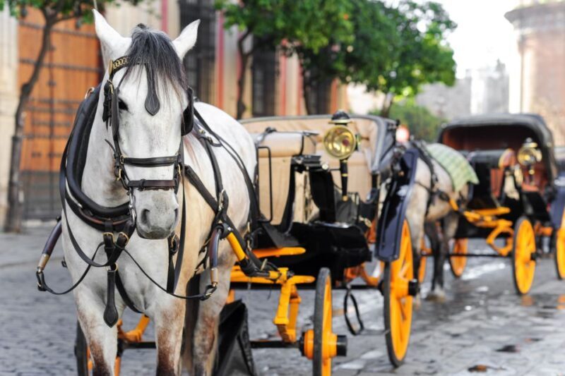 Seville: Authentic and Romantic Horse-Drawn Carriage Ride - Authenticity & Quality: What the Reviews Tell Us