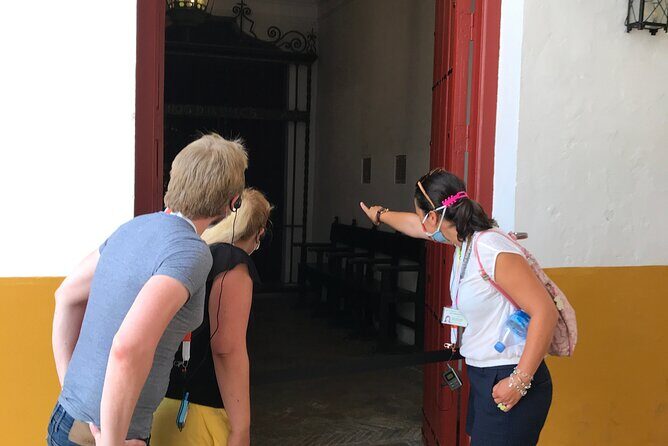 Seville Bullring: Guided Tour with Direct Entry - A Closer Look at the Tour Experience