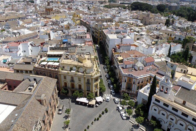 Seville Day Trip from the Algarve - A Deep Dive into the Tour Experience