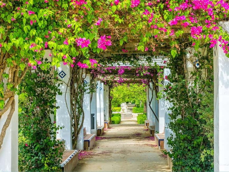 Seville: Dutch Highlights (E-)Bike Tour with a Small Group - Authentic Traveler Insights