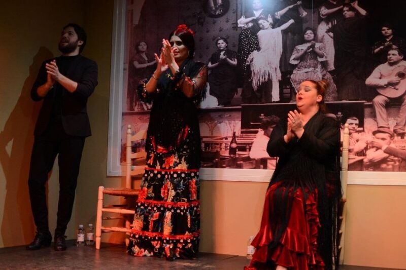 Seville: Flamenco Show at Tablao La Cantaora - What to Expect During the Show
