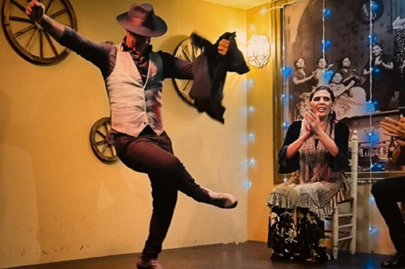 Seville: Flamenco Show at Tablao La Cantaora - Final Thoughts