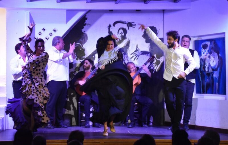 Seville: Flamenco Show at Tablao Los Gallos - Who Should Book This Flamenco Show?