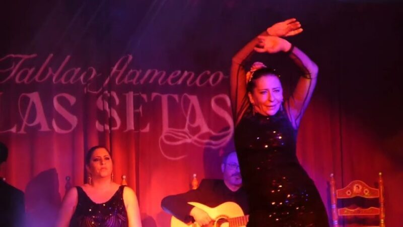 Seville: Flamenco Show & Roof Dinner with Cathedral Views - Who Will Love This Tour?