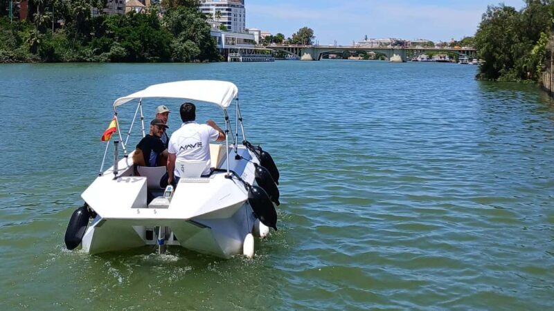 Seville from the River: Private Eco Ride, Taxi Ship - Key Points