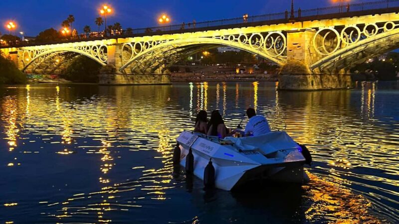 Seville from the River: Private Eco Ride, Taxi Ship - An In-Depth Look at the Experience