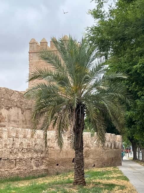 Seville: Guided Dutch Walking Tour with a Local - Key Points