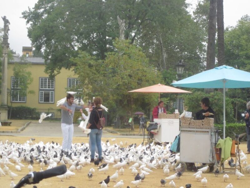 Seville: Highlights City Bike or E-Bike Tour - Final Thoughts