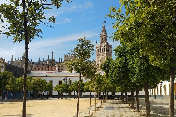 Seville Highlights Private Walking Tour - Key Points