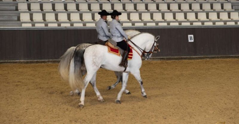 Seville: Horse's Show Entry Ticket. Optional Stud Farm Visit - An In-Depth Look at the Experience