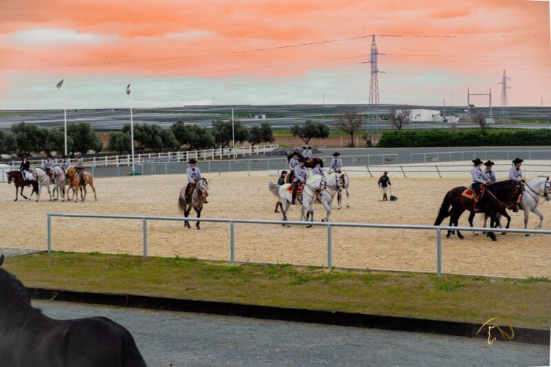 Seville: Horse's Show Entry Ticket. Optional Stud Farm Visit - Final Thoughts: Is It Worth It?