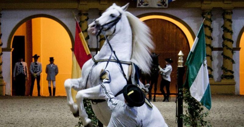 Seville: Jerez, Cadiz Wine Tasting with Optional Horse Show - An Overview of the Tour Experience