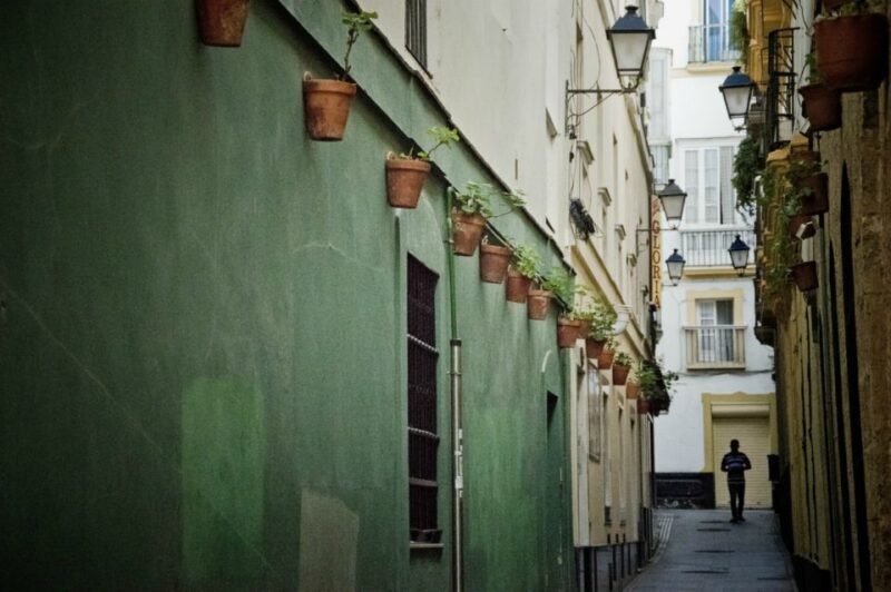 Seville: Jerez, Cadiz Wine Tasting with Optional Horse Show - Driving to Cádiz