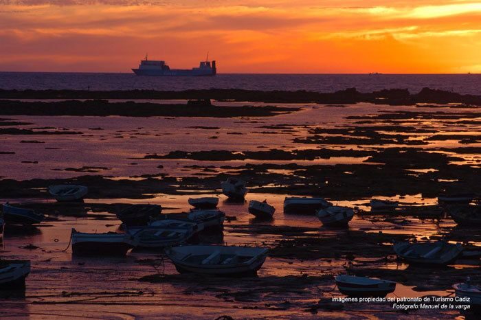 Seville: Jerez, Cadiz Wine Tasting with Optional Horse Show - Logistics & Practical Tips