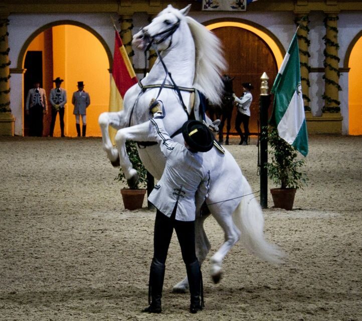 Seville: Jerez, Cadiz Wine Tasting with Optional Horse Show - What Reviews Tell Us