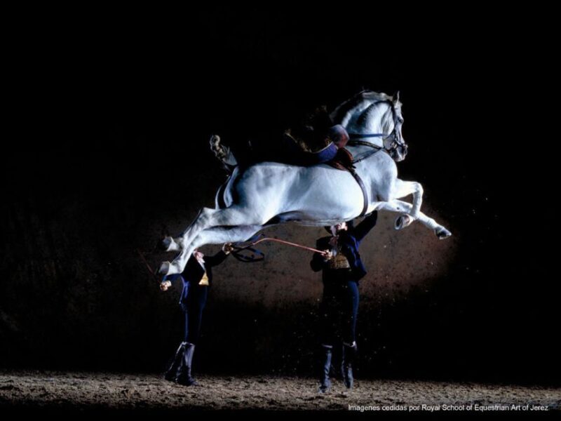 Seville: Jerez, Cadiz Wine Tasting with Optional Horse Show - The Bottom Line