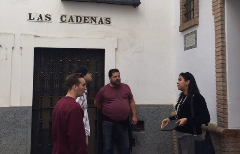 Seville: Jewish History Private Tour - Accessibility and Practical Details