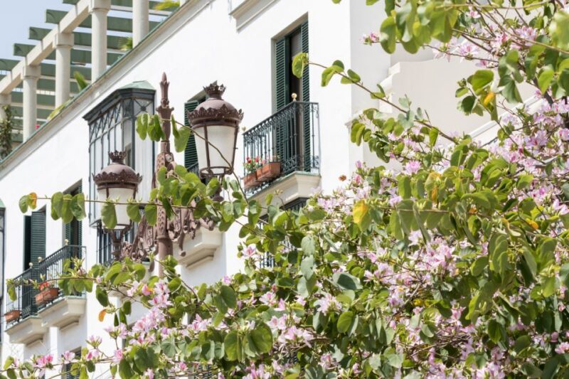 Seville Jewish Quarter walking tour: Santa Cruz District - The Guide: Knowledgeable, Engaging, and Personal