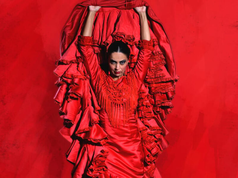 Seville: Live Flamenco Dancing Show Ticket at the Theater - The Venue and Setting: A True Flamenco Atmosphere