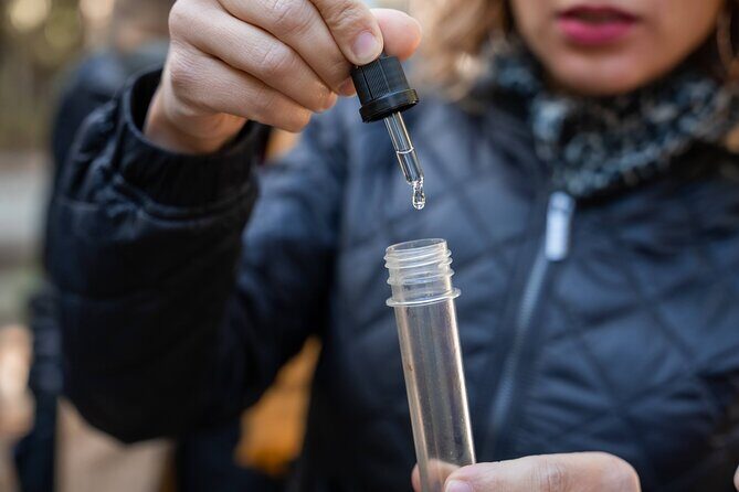 Seville: Outdoor Escape Game - Operation Mindfall - Key Points