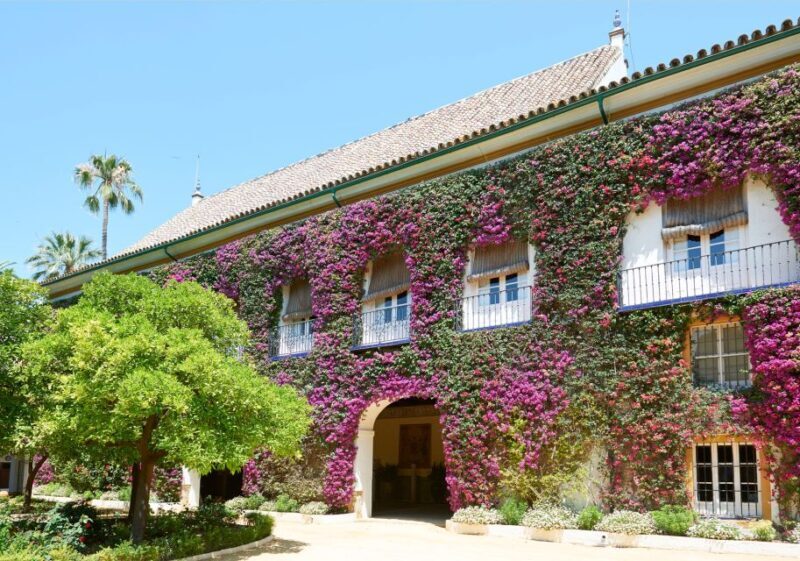 Seville: Palacio de Las Dueñas, La Macarena & Las Setas Tour - A Detailed Look at the Tour