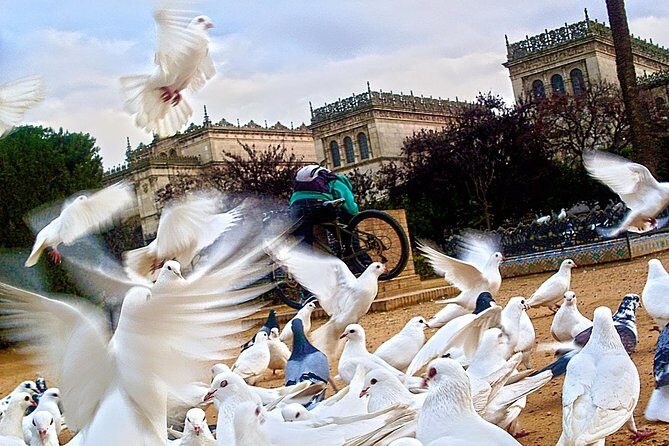 Seville Panoramic Walking Tour - An In-Depth Look at the Seville Panoramic Walking Tour