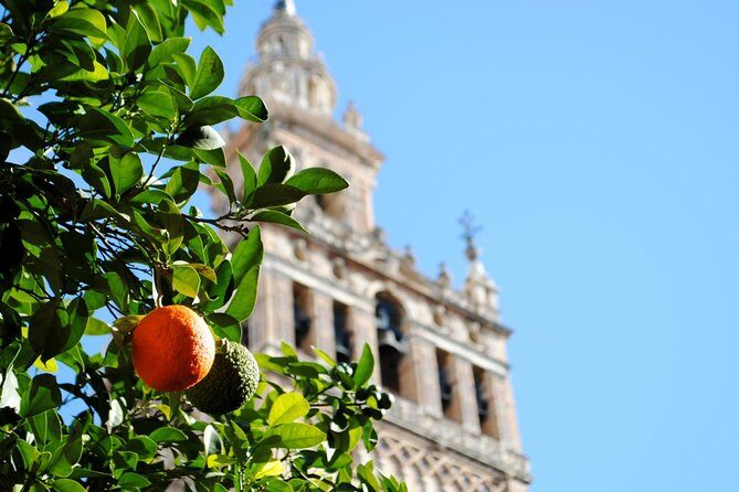 Seville Panoramic Walking Tour - Frequently Asked Questions