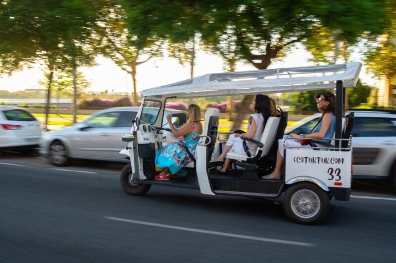 Seville: Private City Tour by Eco Tuk Tuk - Who Will Love This Experience?