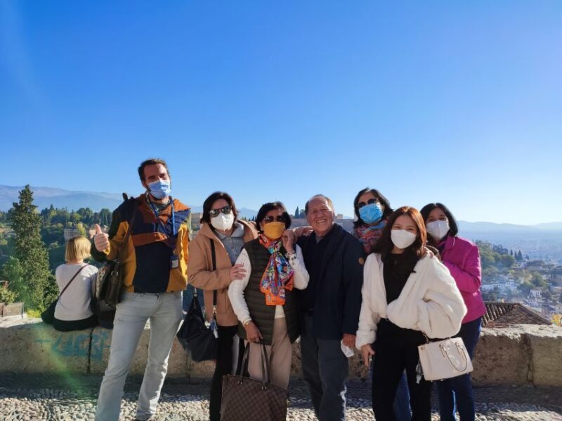 Seville: Private Day Trip to Granada with Alhambra Entry - Key Points