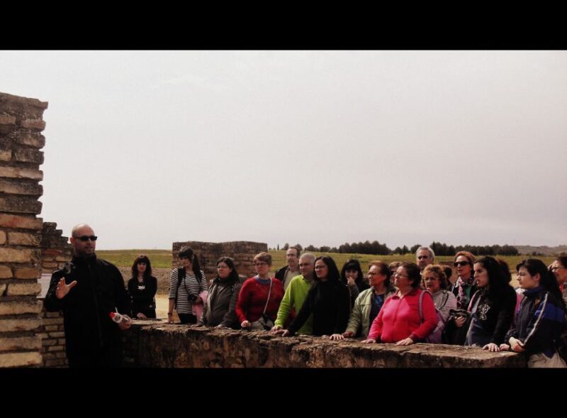 Seville: Roman City of Itálica 2 Hour Tour - Why This Tour Offers Real Value