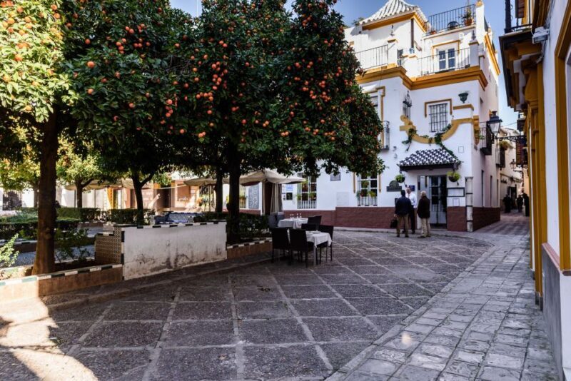 Seville: Santa Cruz Private Tour - An In-Depth Look at the Santa Cruz Private Tour
