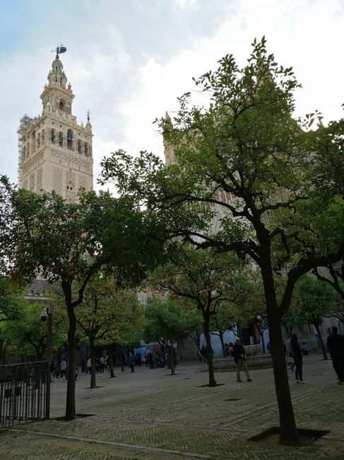 SEVILLE: SANTA MARIA DE LA SEDE CATHEDRAL TOUR - Unpacking the Experience: A Detailed Look at the Tour