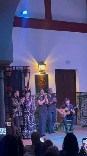 Seville: Tapas and Flamenco Tour with Local Guide - Who Should Consider This Tour?
