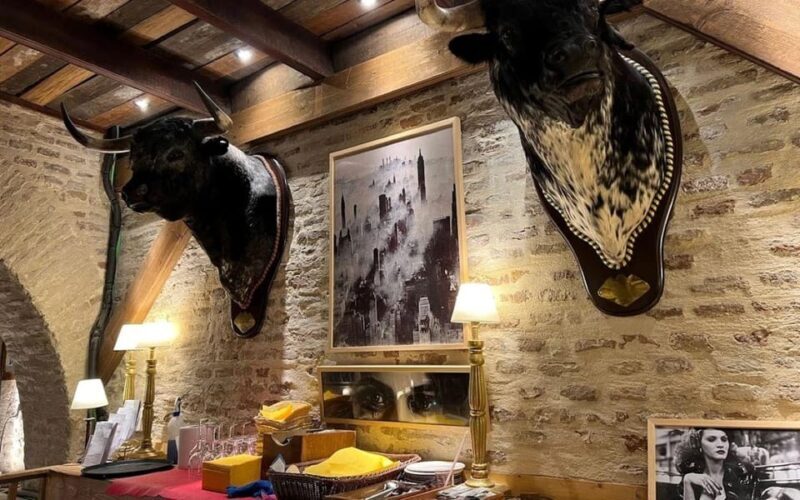 Seville: Tapas Dinner and Flamenco Show - A Detailed Look at the Experience