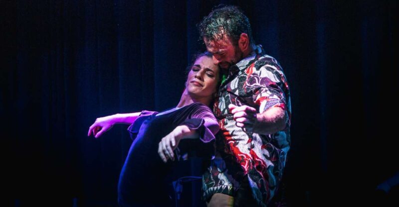 Seville: Traditional Flamenco Show in Triana - Who Should Consider This Flamenco Show?