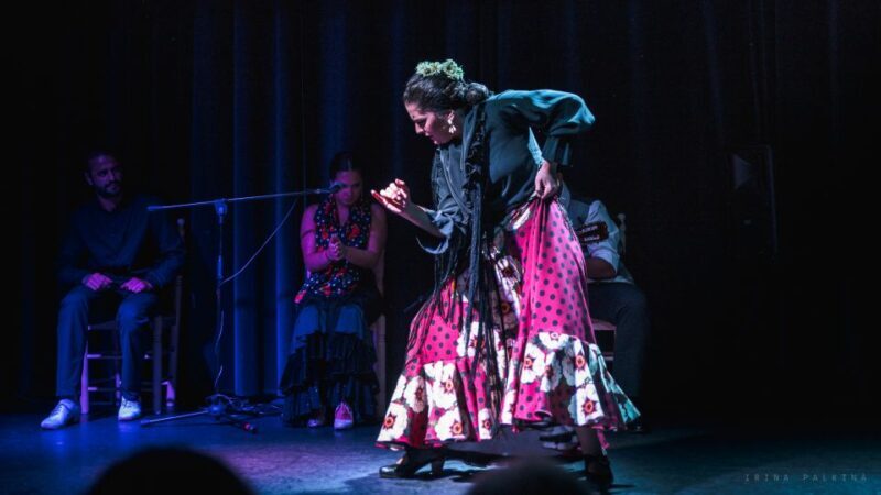 Seville: Traditional Flamenco Show in Triana - Final Thoughts