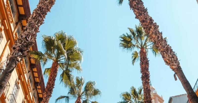 Seville: Transfer to Málaga with visit to Ronda - The Itinerary: Breaking Down the Day