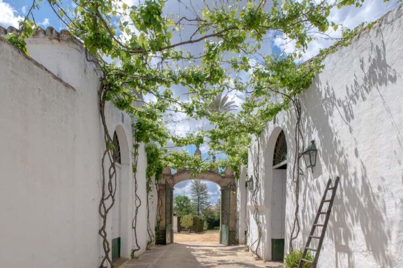 Seville: Visit Bodegas Góngora - Key Points