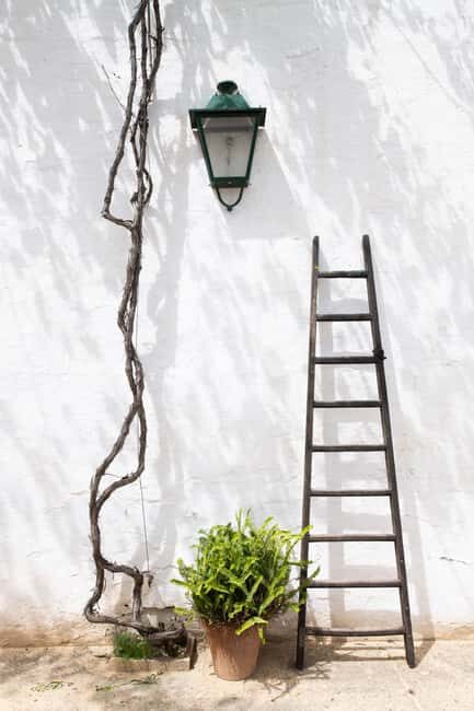 Seville: Visit Bodegas Góngora - An In-Depth Look at the Bodegas Góngora Tour