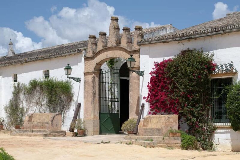 Seville: Visit Bodegas Góngora - Final Thoughts