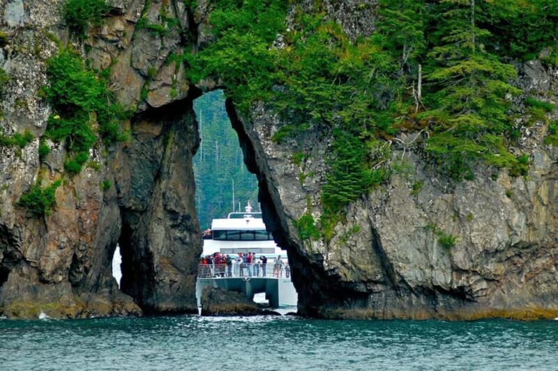 Seward: Captain's Choice Kenai Fjords National Park Tour - Who will love this tour?