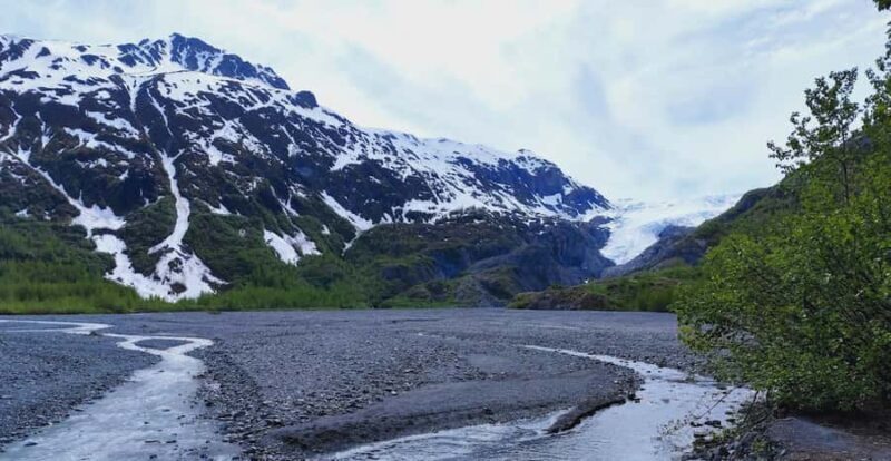 Seward: Exit Glacier Nature Hike with Scenic Views - Introducing the Seward: Exit Glacier Nature Hike with Scenic Views