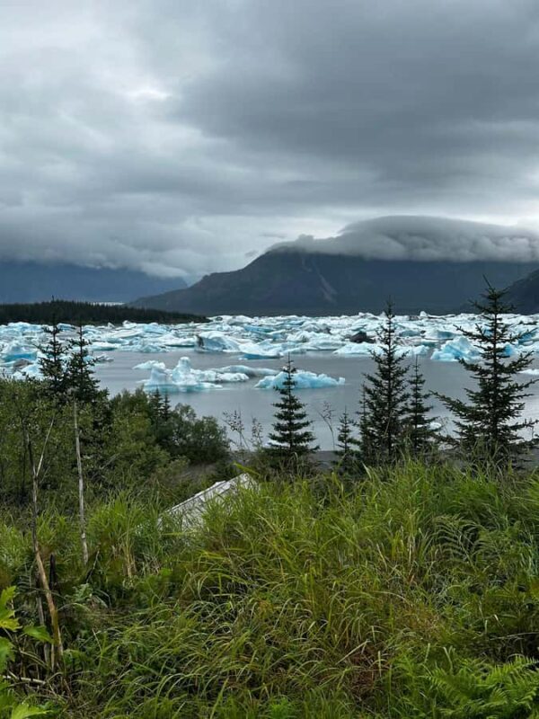 Seward: Grand View Tour - An In-Depth Look at the Seward: Grand View Tour